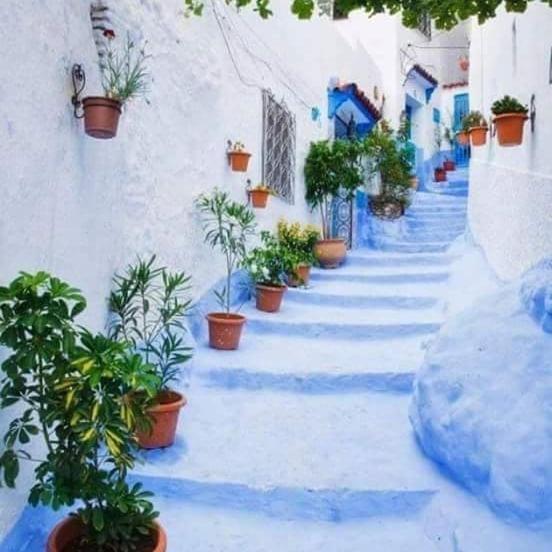 Dar Casa Plasa Grande Chefchaouen Extérieur photo